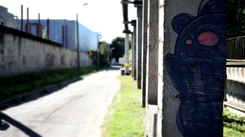 Blue Bear Graffiti