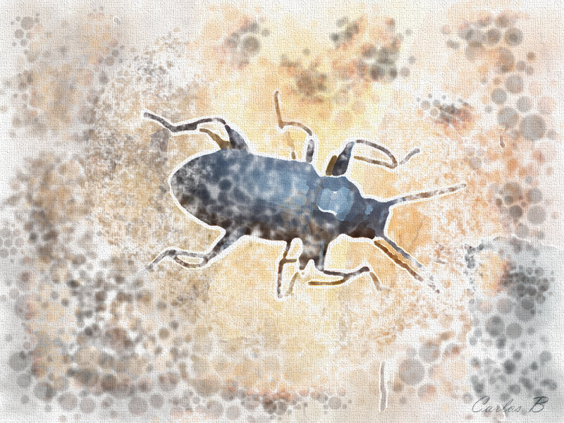 Blue Beetle on Textured Surface