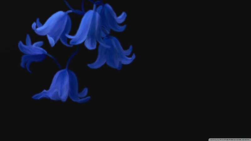 Blue Bell Flowers — Serene, Night, Digital Art
