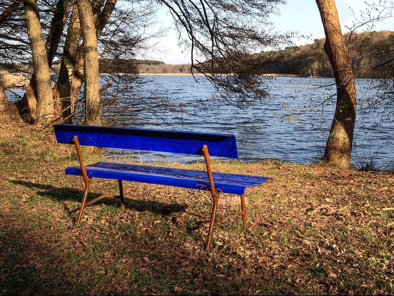 Blue Bench by Lake — Serene, Autumn