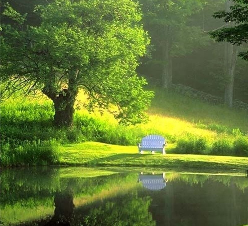 Blue Bench by Pond — Green