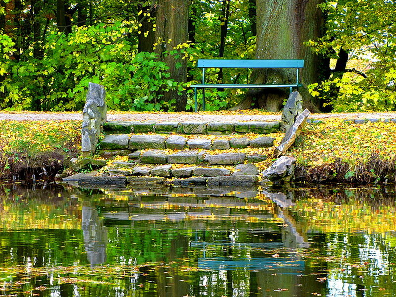 Blue Bench by Pond