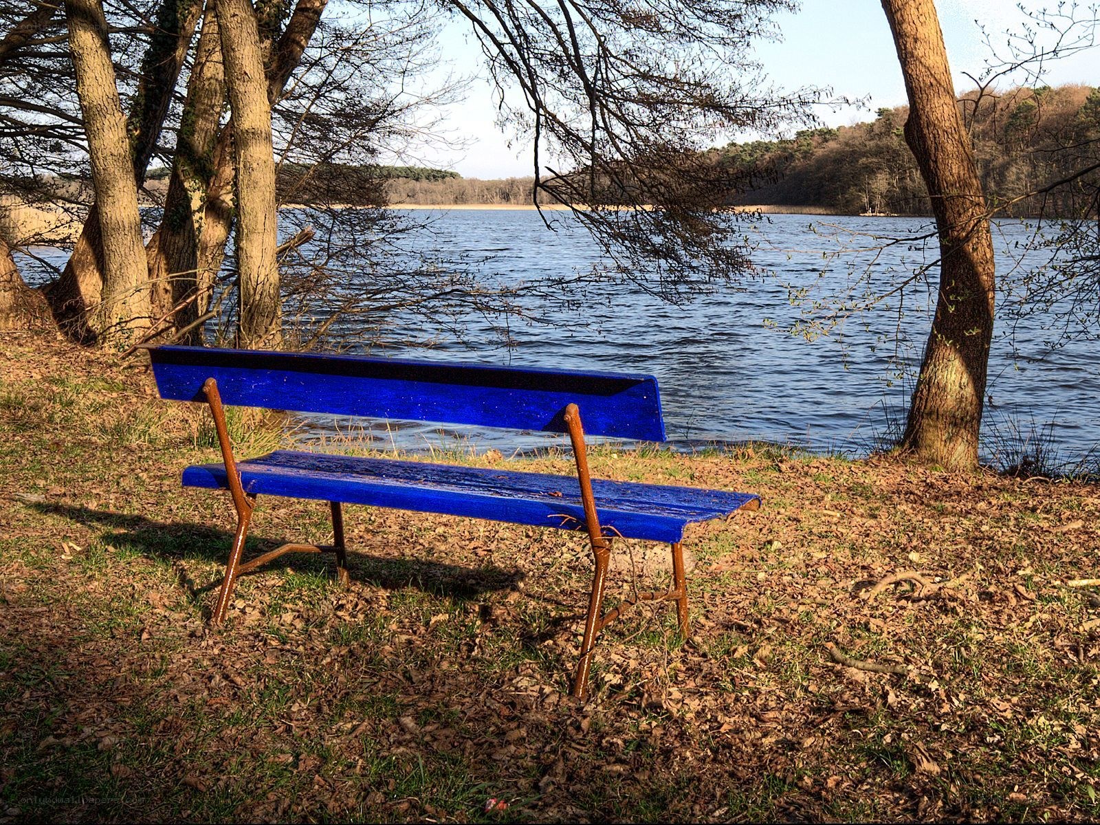 Blue bench by the lake