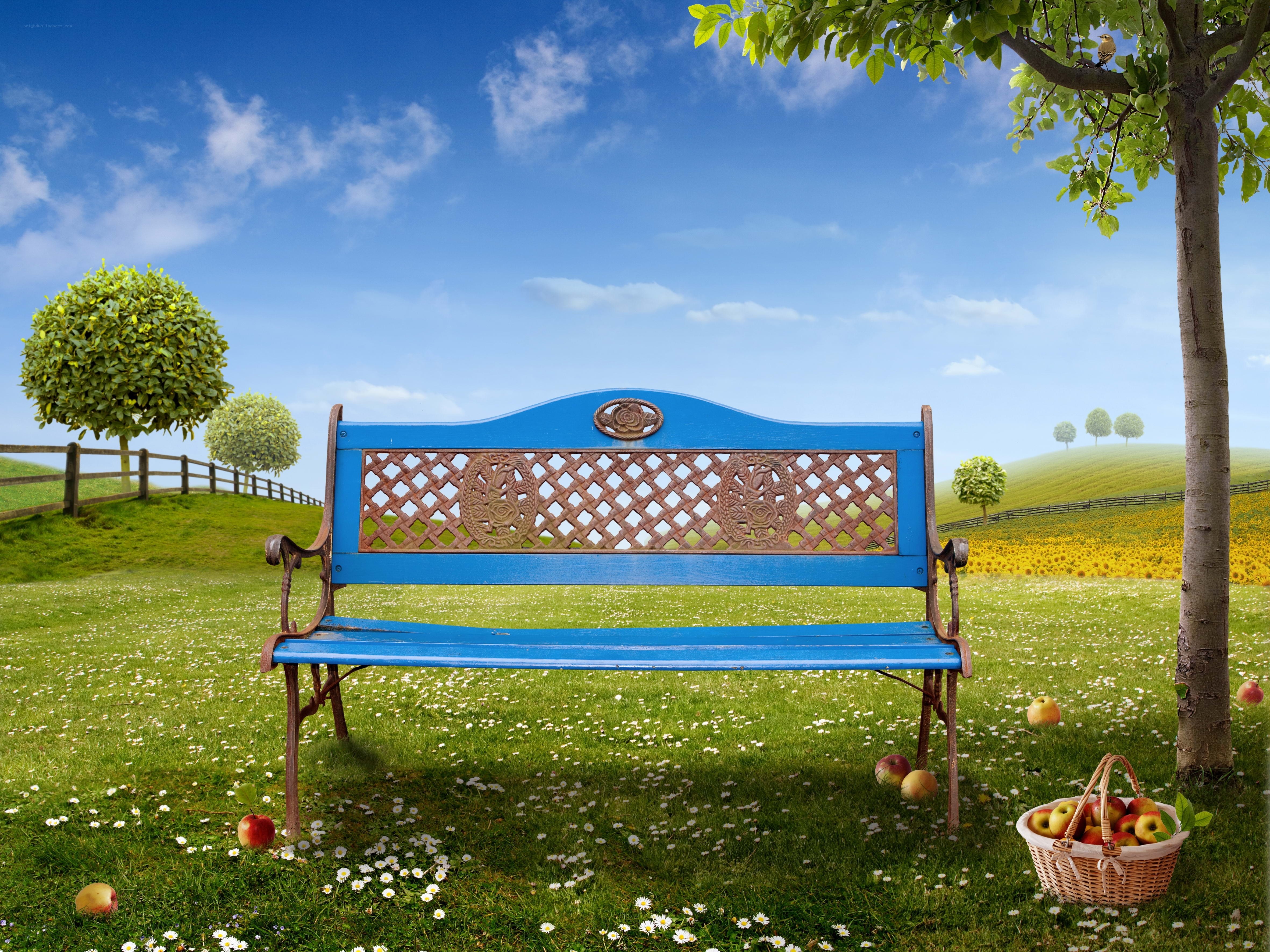 Blue bench in a sunny meadow