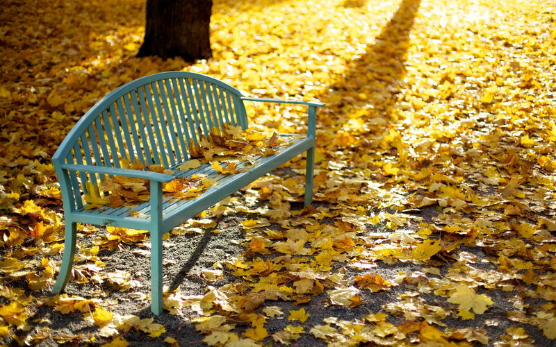Blue Bench in Autumn Leaves