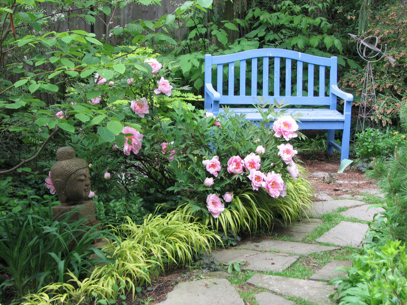 Blue Bench in Garden