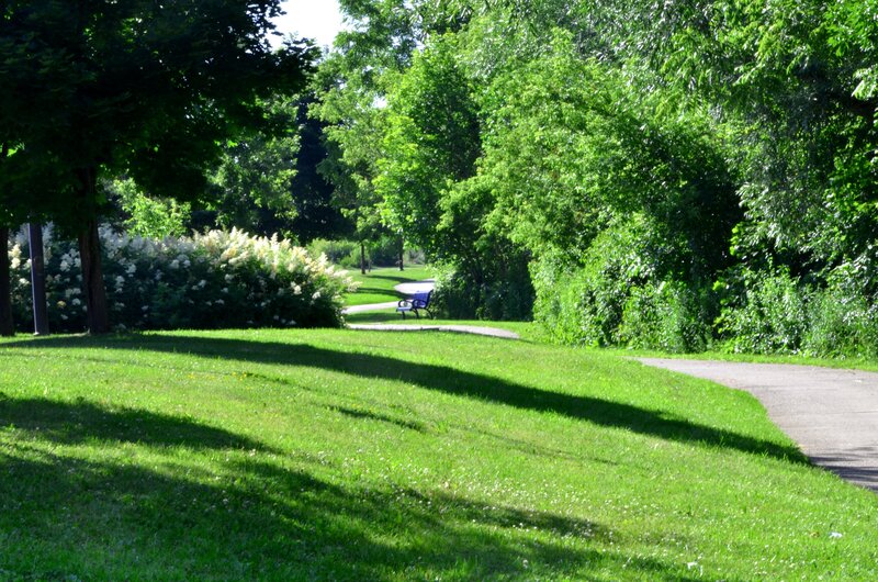 Blue Bench in Park — Green, Serene
