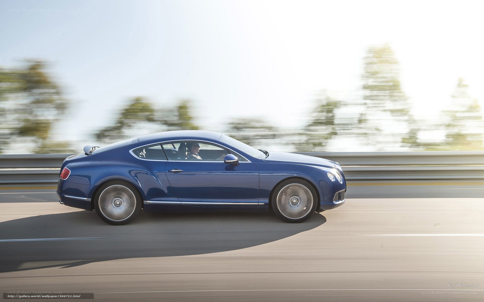 blue bentley driving on highway