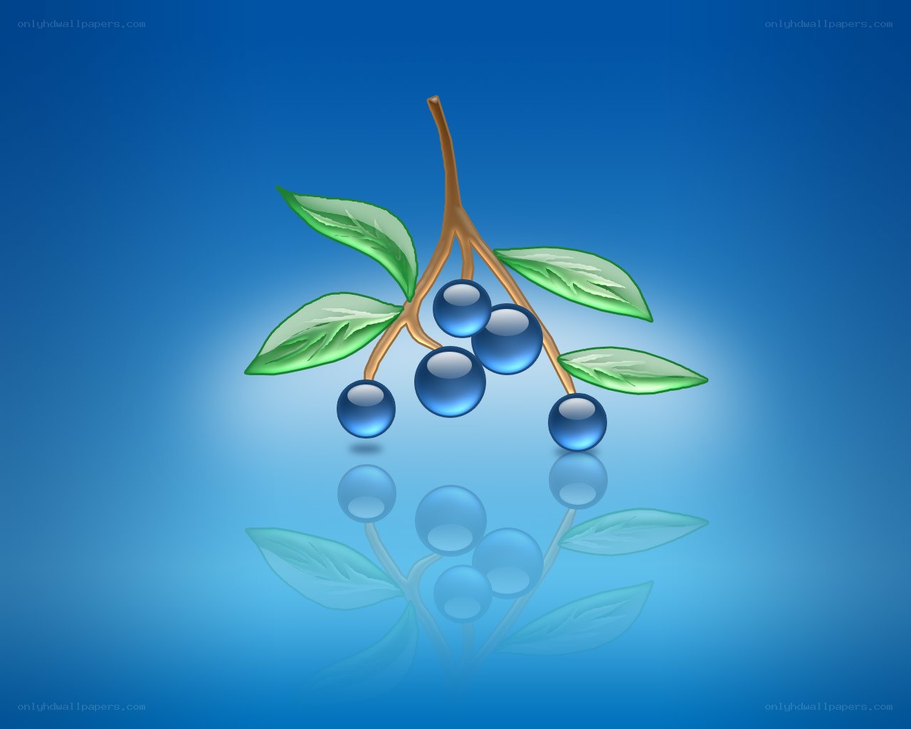 blue berries on a branch