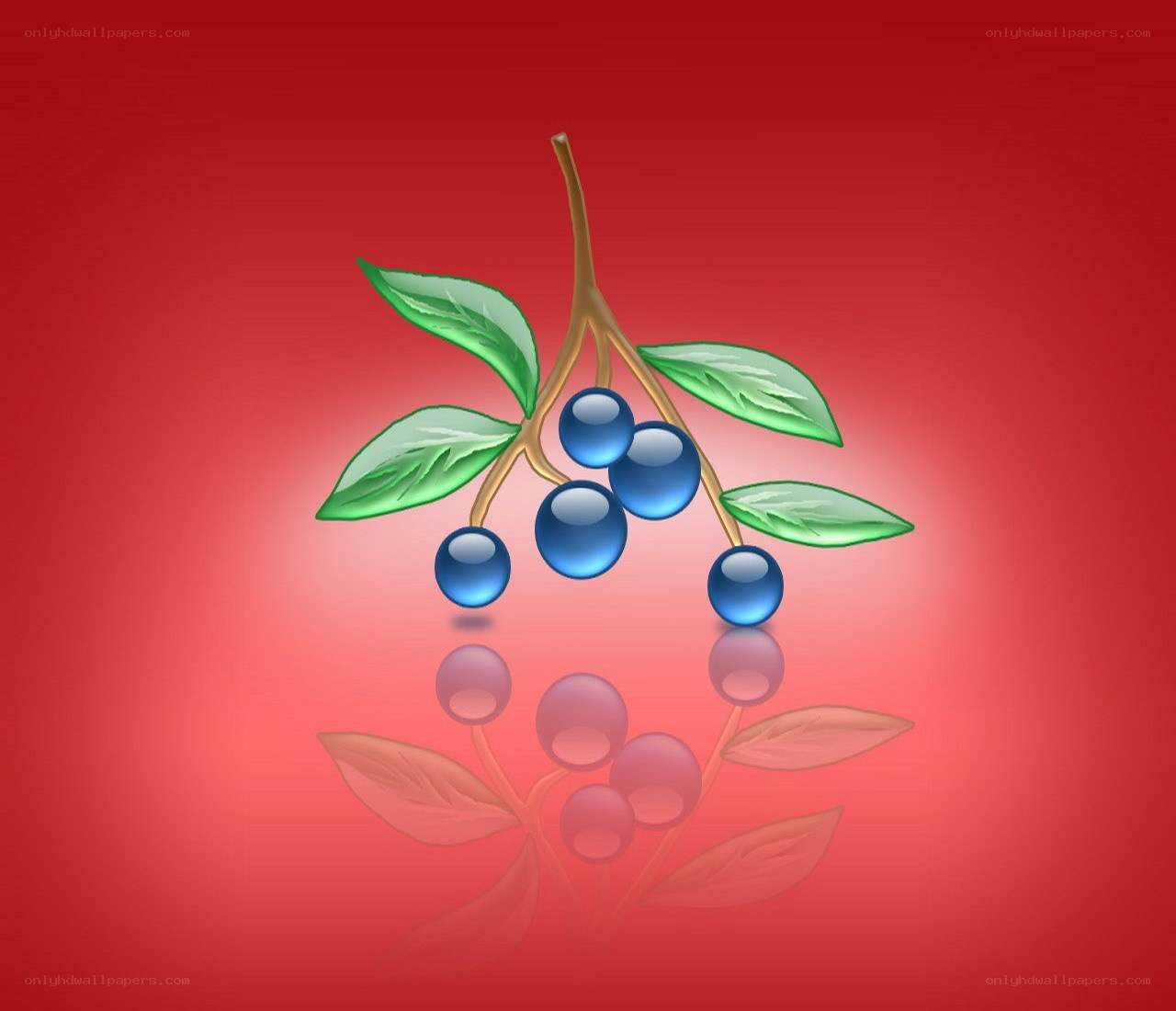 blue berries on a branch