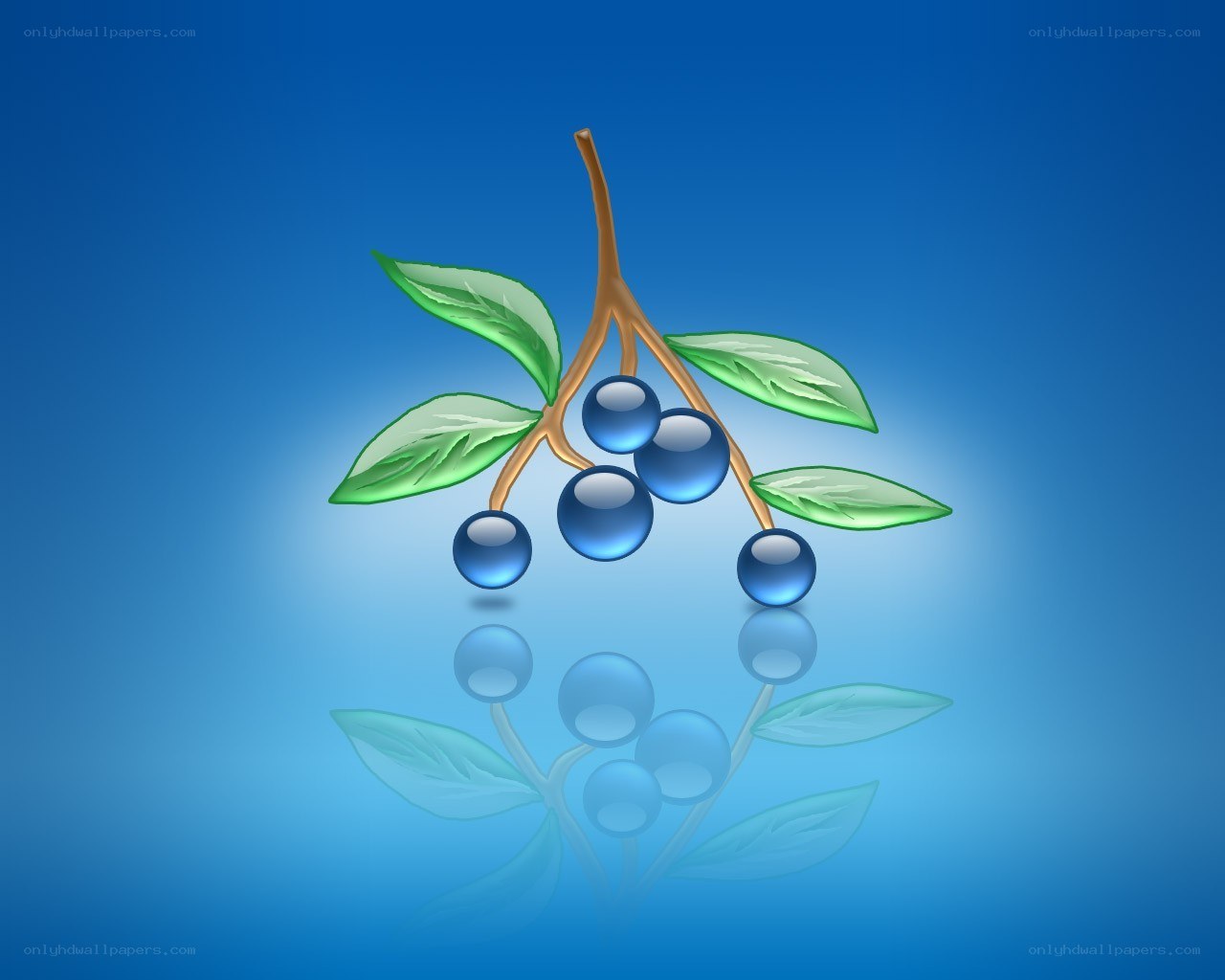 blue berries on a branch