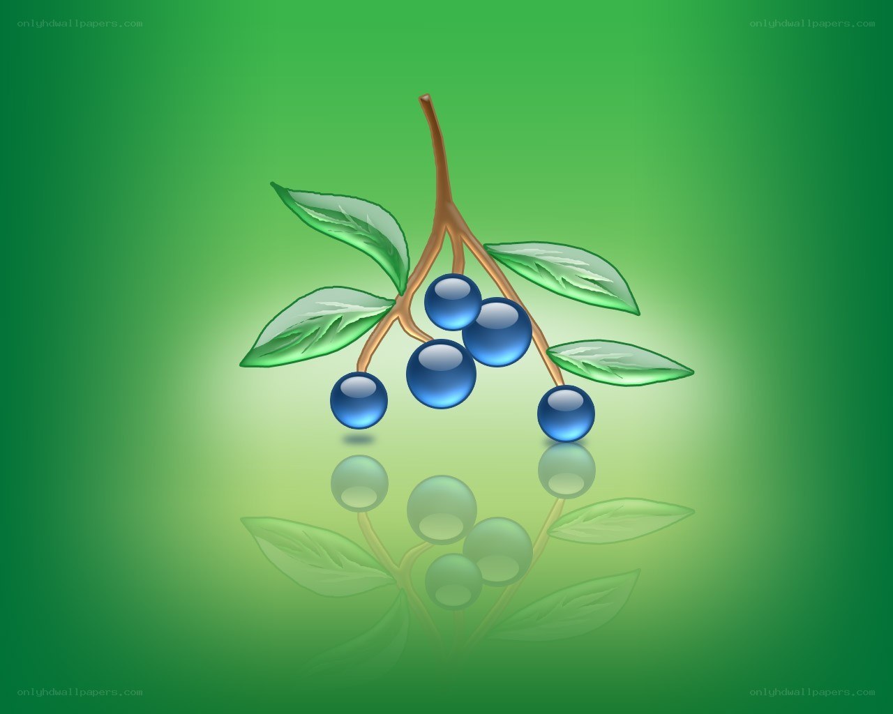blue berries on a branch