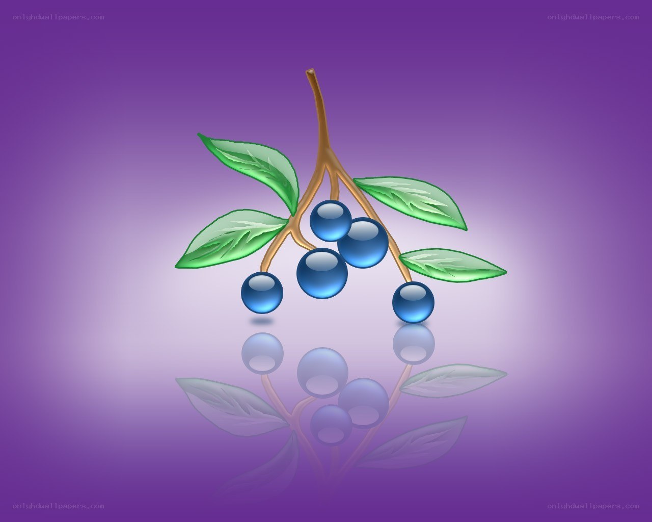 blue berries on a branch