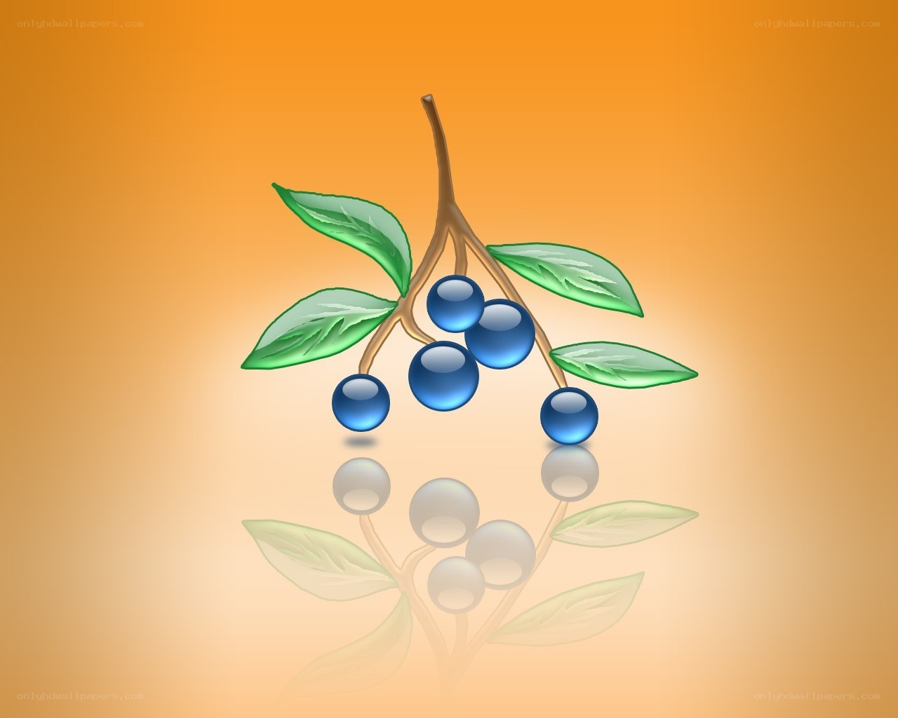 blue berries on a branch