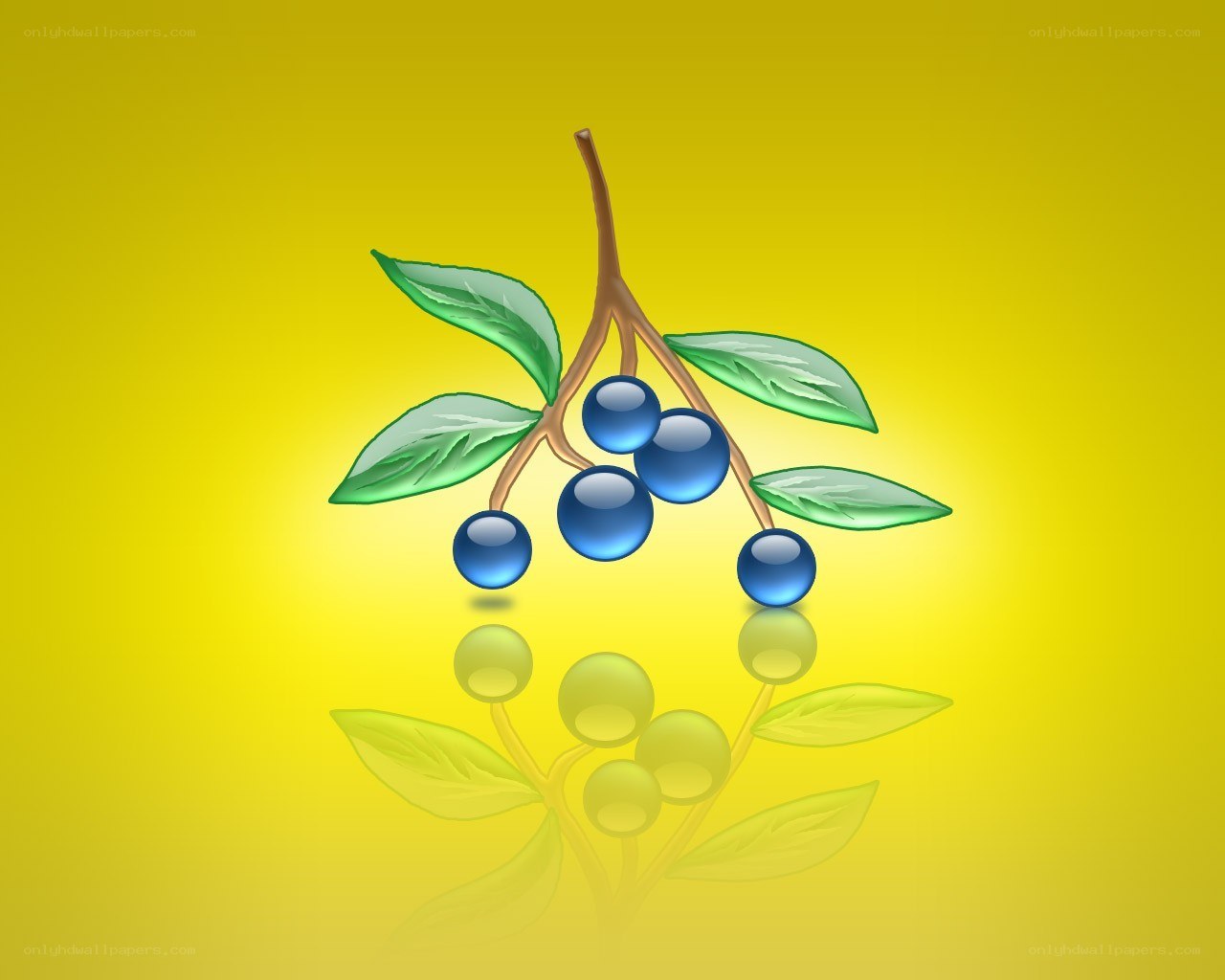 blue berries on a branch