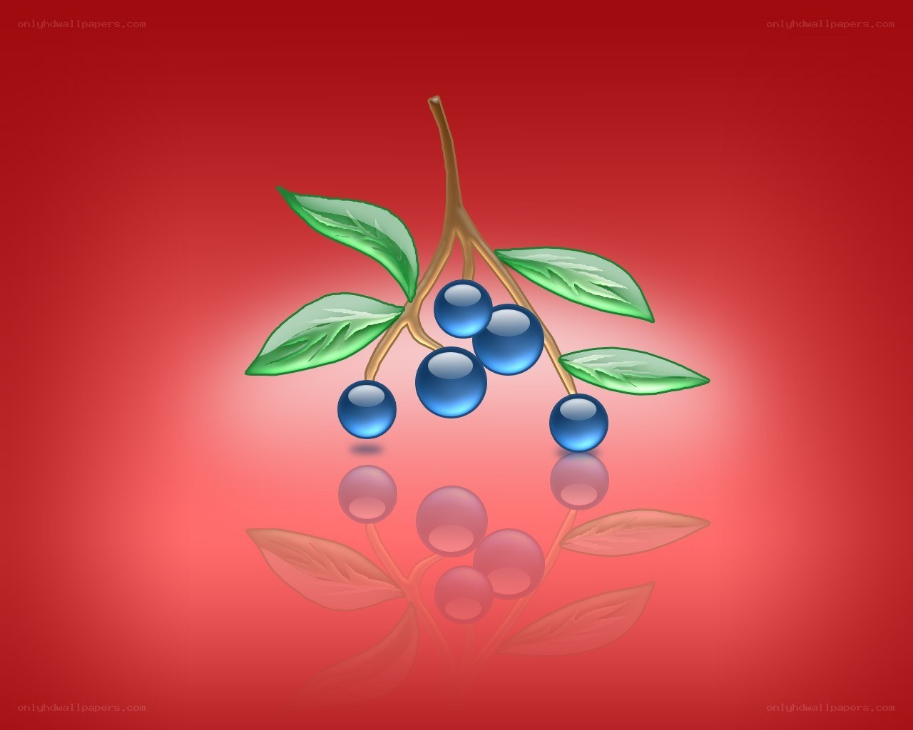 blue berries on a branch