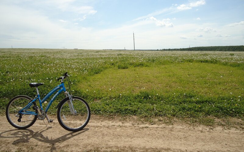 Blue Bicycle in Field