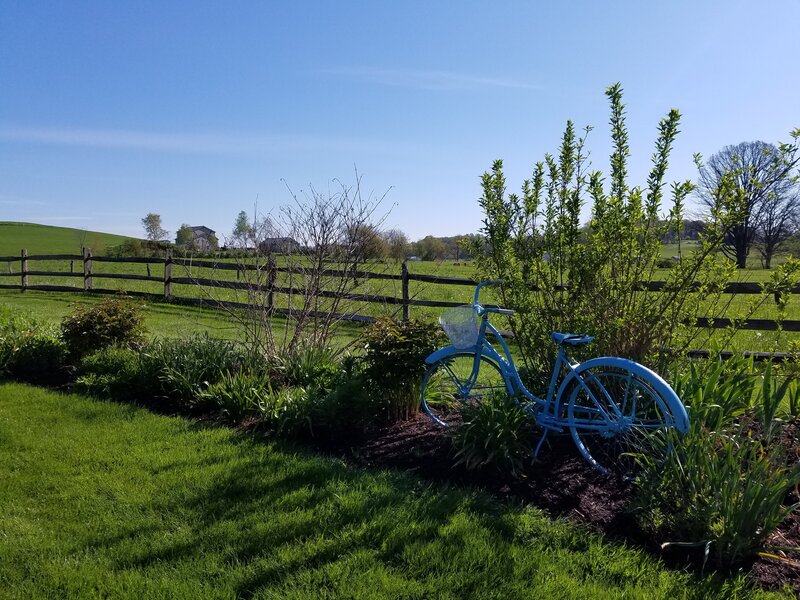 Blue bicycle in garden landscape