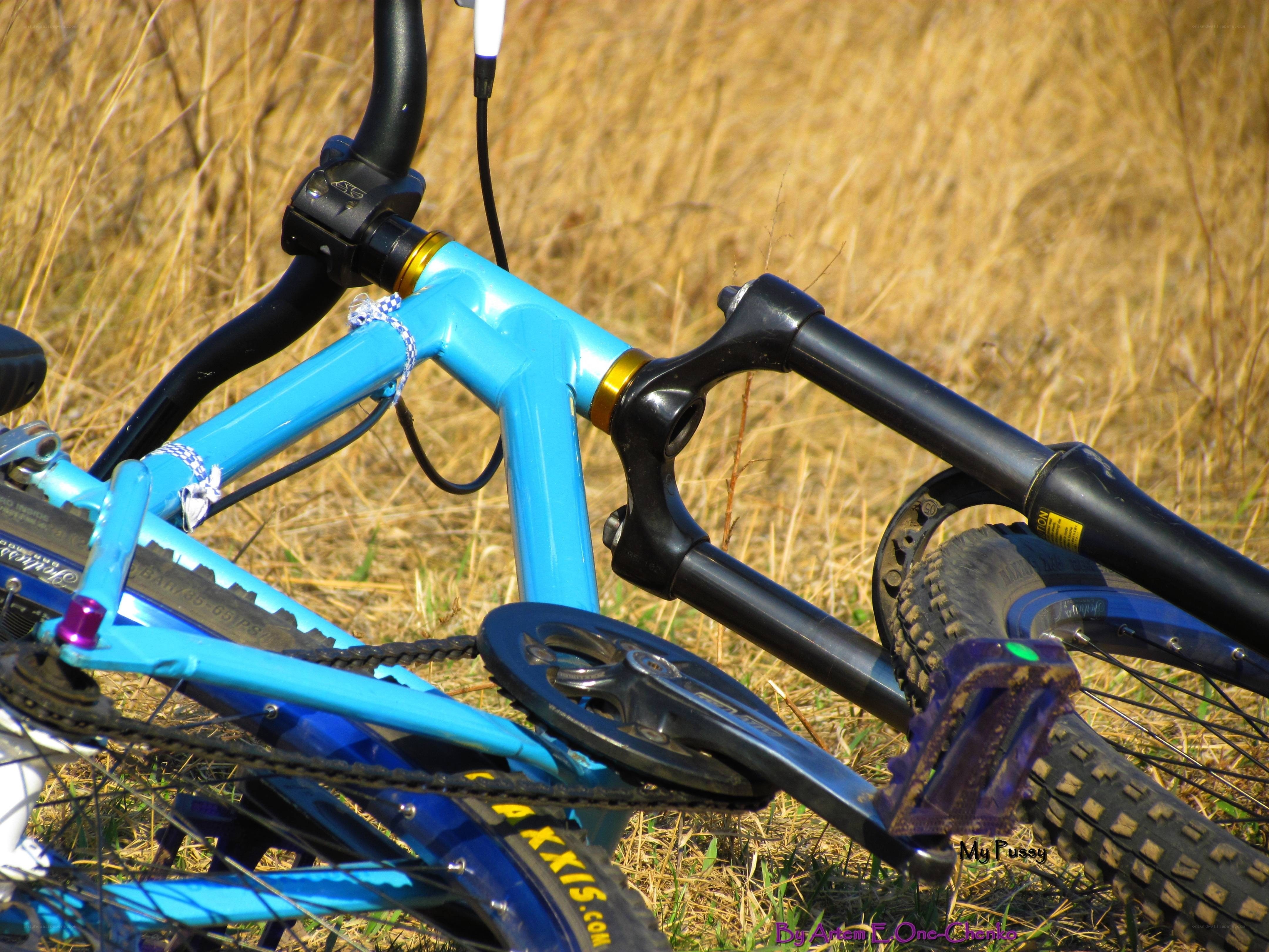 blue bicycle in grass