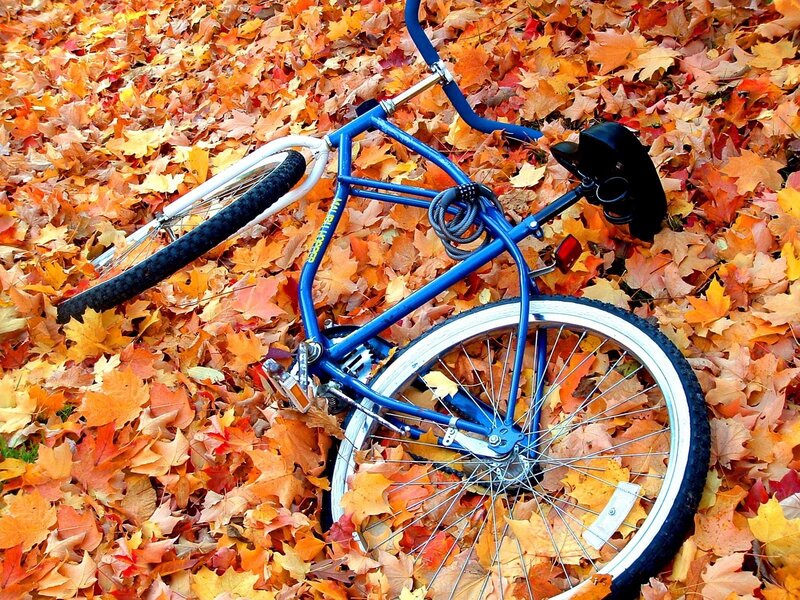 Blue Bicycle in Leaves — Orange