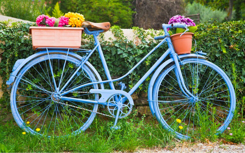 Blue Bicycle with Flowers — Serene, Afternoon