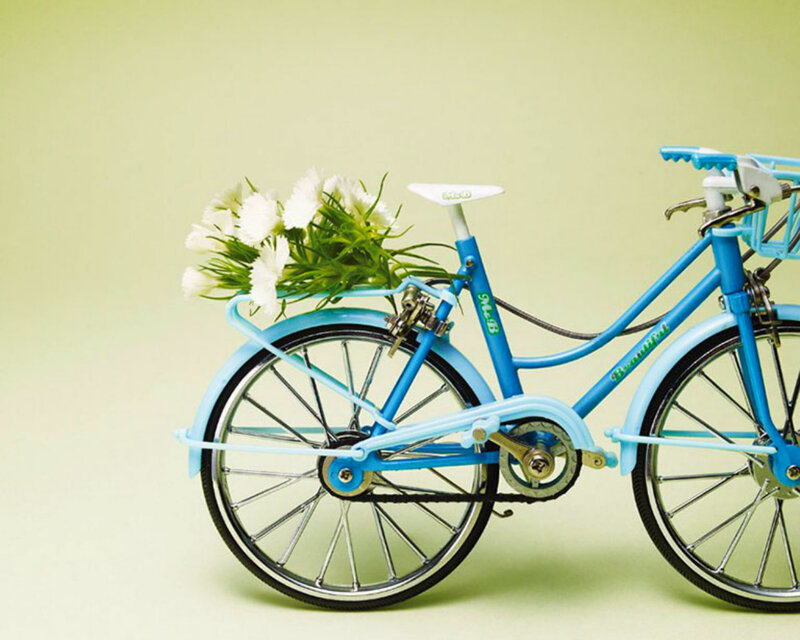 Blue Bicycle with Flowers — Serene