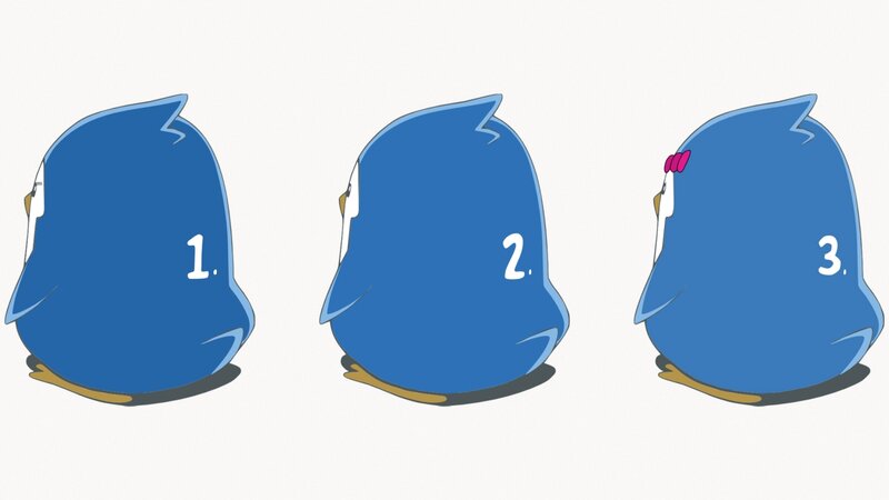 blue bird character design frames