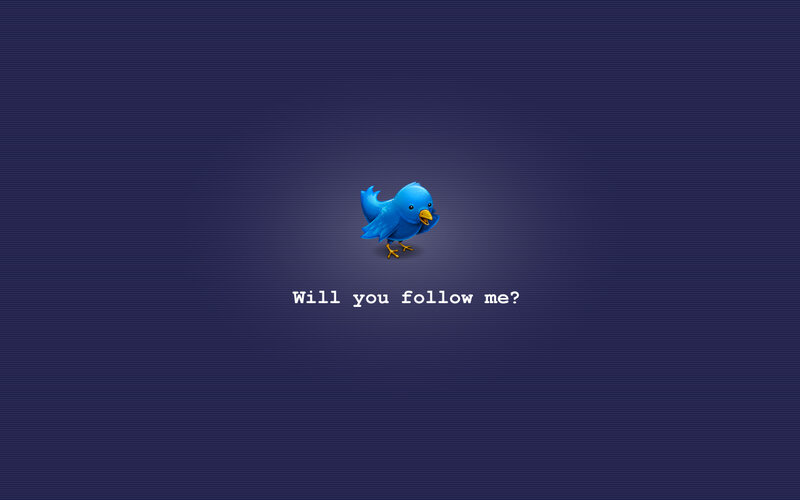 Blue Bird Character — Minimalist