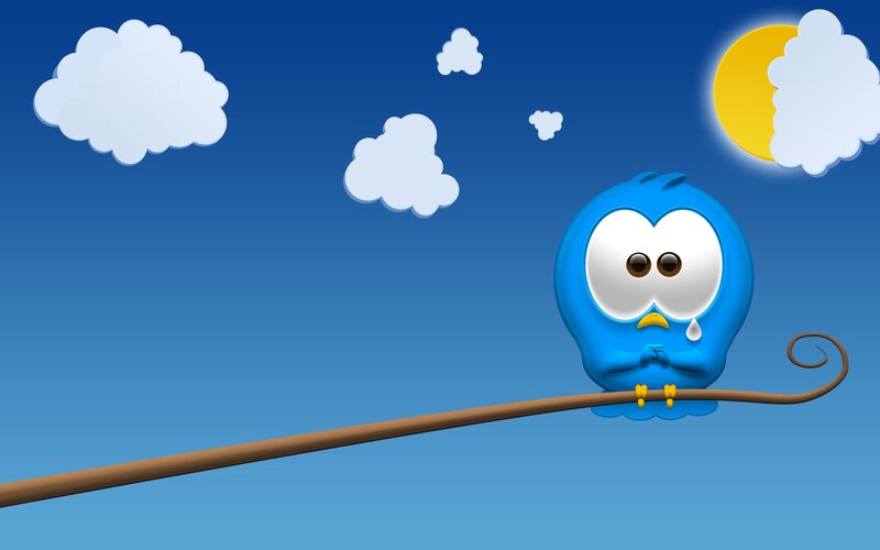 Blue bird crying on a branch