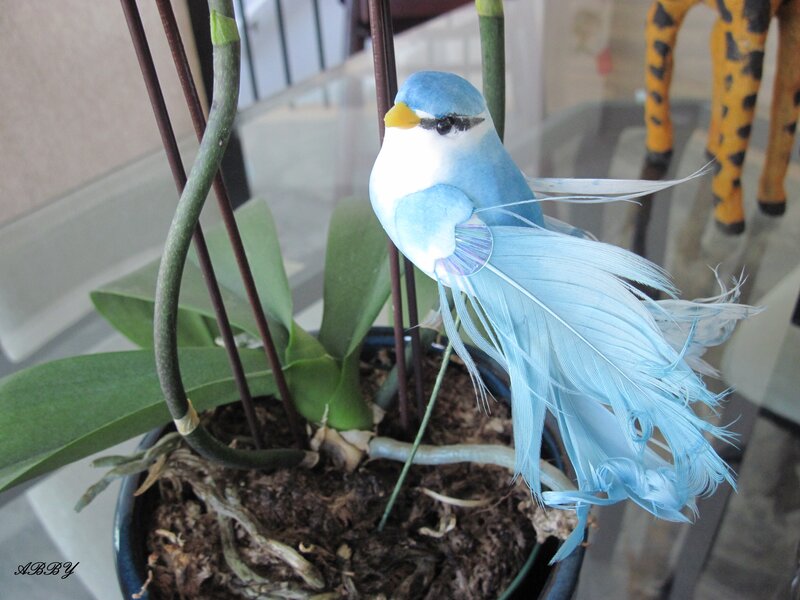 Blue Bird Figurine — Calm, Photograph