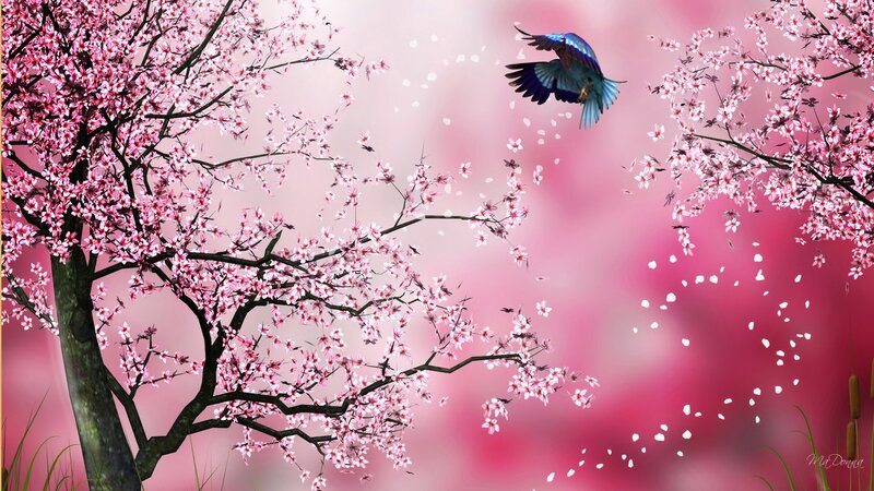 Blue Bird Flying