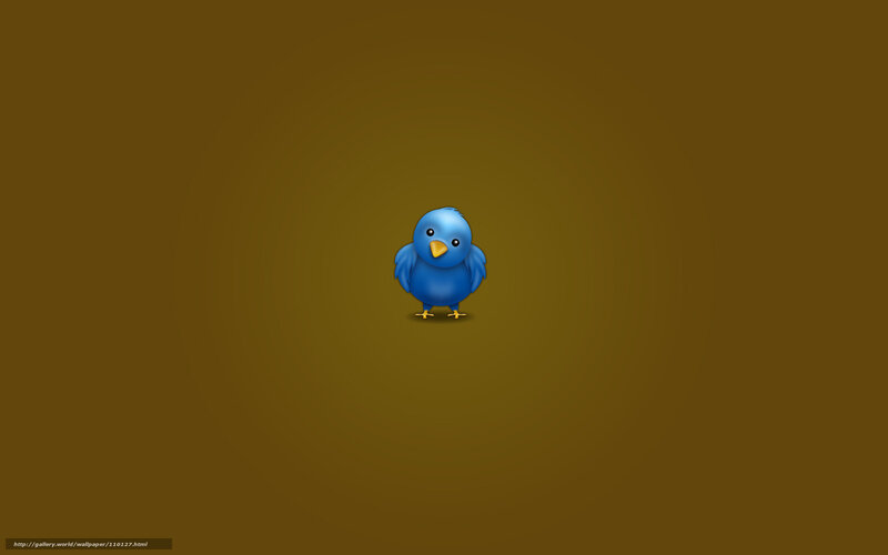 Blue bird icon on brown background