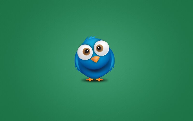 blue bird icon on green