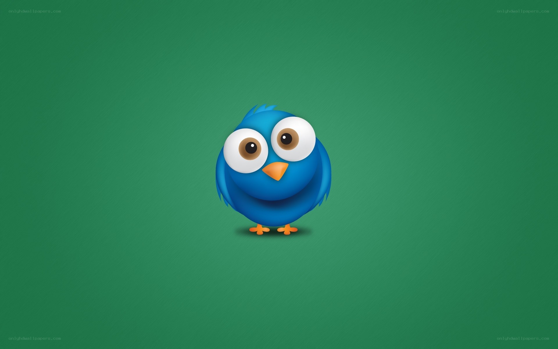 blue bird icon on green
