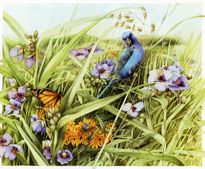 Blue Bird in Grass — Green
