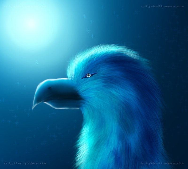 blue bird in starry sky