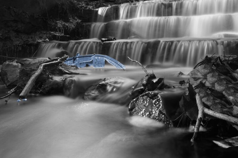 Blue Bird in Waterfall