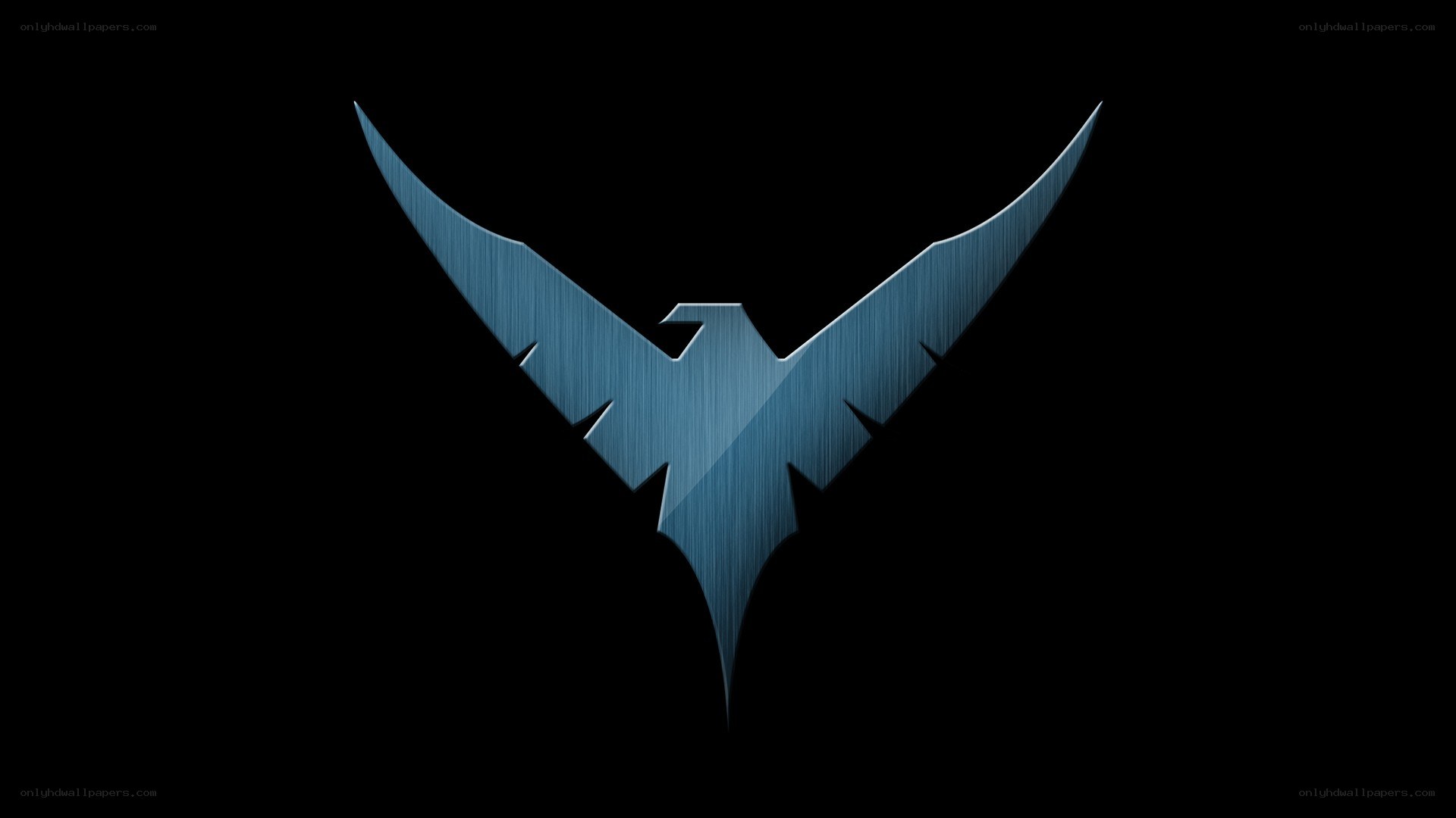 Blue bird logo on black