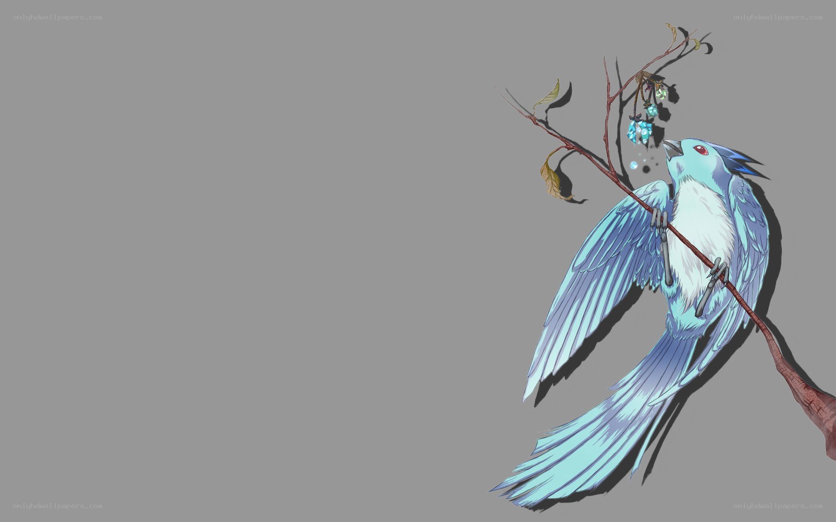 blue bird on a branch