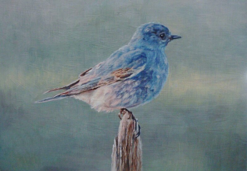 Blue Bird on a Post — Calm