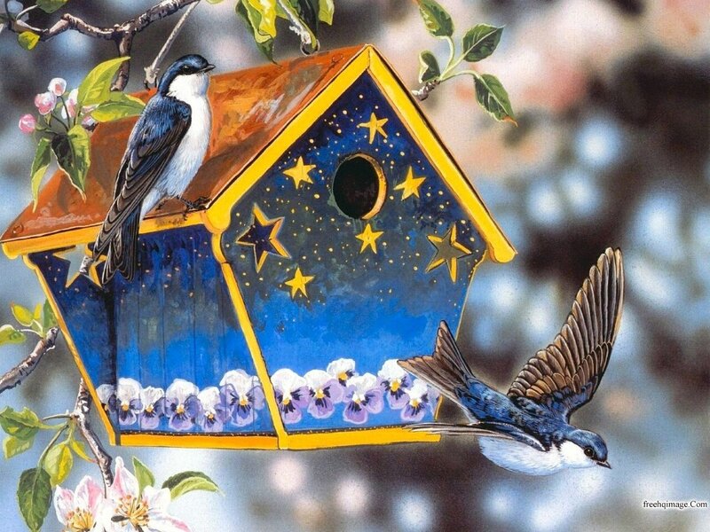 Blue Bird on Birdhouse