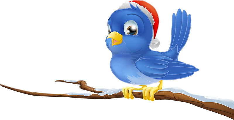 Blue Bird on Branch — Festive, Winter
