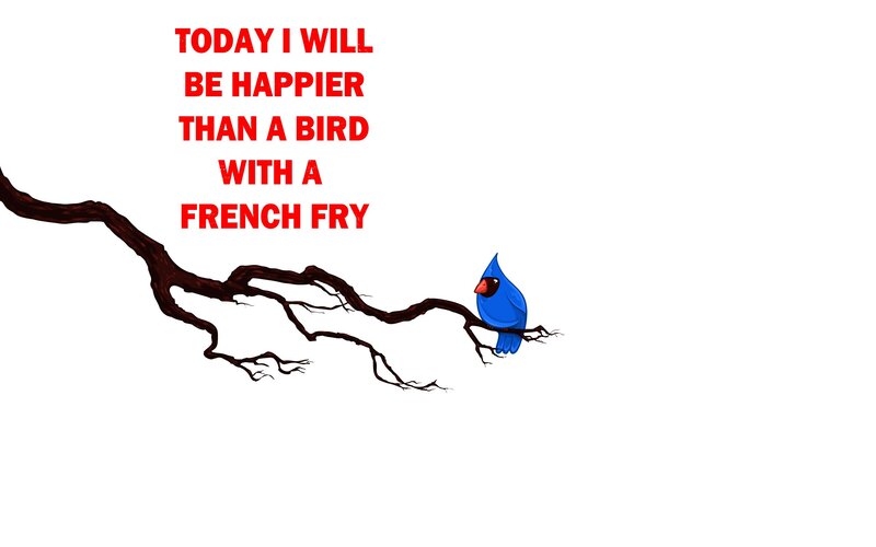 Blue Bird on Branch — Humorous