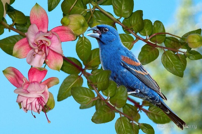 Blue Bird on Branch — Serene, Afternoon