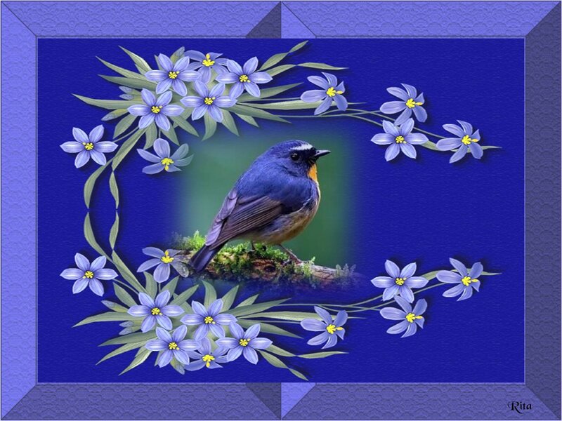 Blue Bird on Branch — Serene, Digital Art