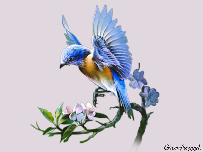 Blue Bird on Branch — Serene, Spring, Illustration