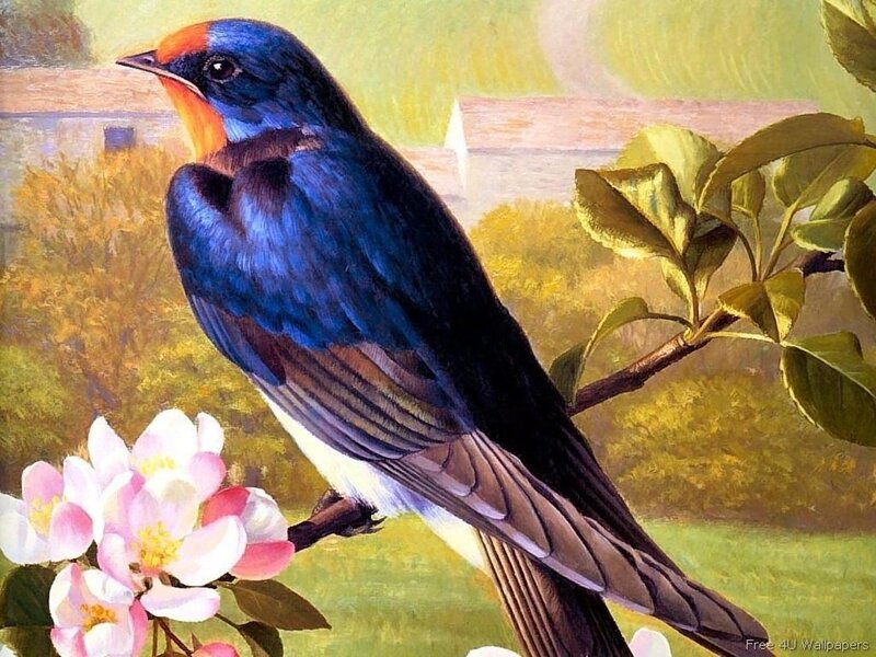 Blue Bird on Branch — Serene, Spring, Painting, Flowers