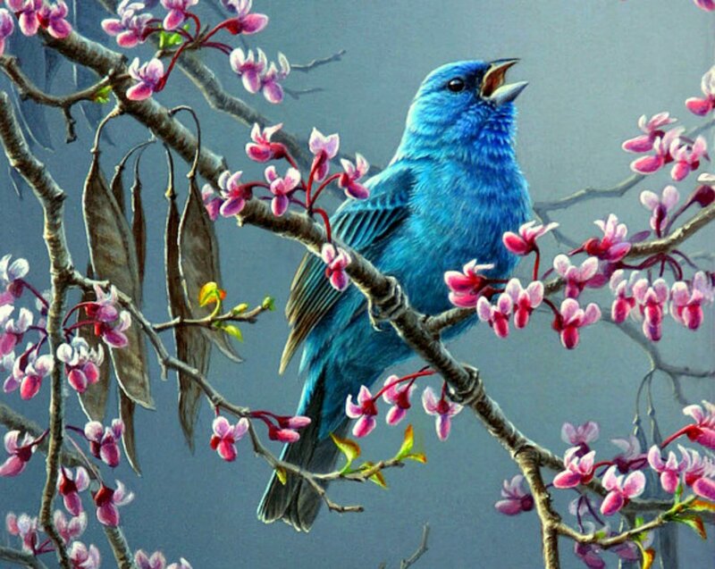 Blue Bird on Branch — Serene, Spring, Painting