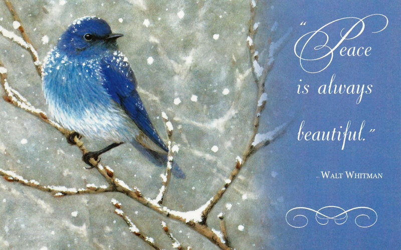 Blue Bird on Branch — Serene, Winter