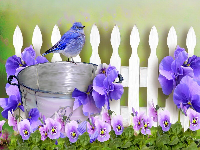Blue Bird on Bucket — Purple